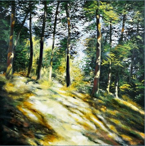 Foret avec clairiere